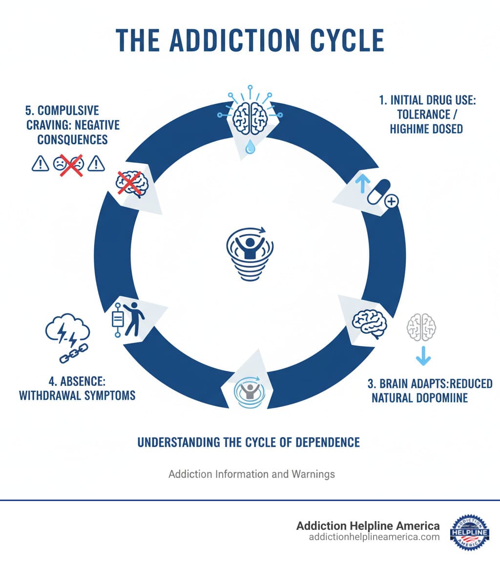Infographic showing the addiction cycle: initial drug use leads to brain reward activation and dopamine flood, repeated use causes tolerance requiring higher doses, brain adapts by reducing natural dopamine production, withdrawal symptoms emerge when drug is absent, and compulsive drug-seeking behavior develops despite negative consequences - Addiction Information and Warnings infographic