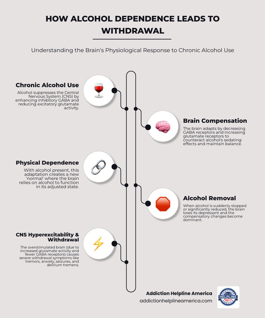 Infographic showing the progression of alcohol dependence in the brain: Regular heavy drinking suppresses the central nervous system through enhanced GABA activity and reduced glutamate activity. Over time, the brain compensates by decreasing GABA receptors and increasing glutamate receptors to maintain balance. When alcohol is suddenly removed, this leads to CNS hyperexcitability, causing withdrawal symptoms ranging from anxiety and tremors to seizures and delirium tremens. - Alcohol Detox infographic infographic-line-5-steps-elegant_beige