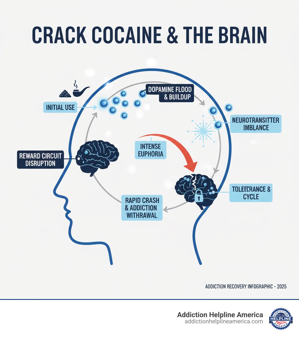 Infographic showing how crack cocaine affects the brain's dopamine system, illustrating the cycle from initial use through dopamine buildup, intense euphoria, rapid crash, and development of tolerance and addiction, with labels for the reward circuit and neurotransmitter disruption - Crack Cocaine Treatment infographic
