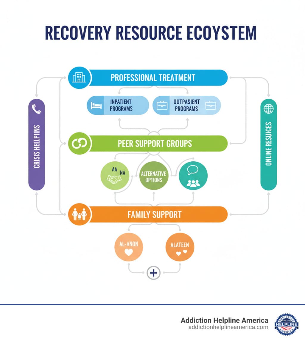 infographic showing the recovery resource ecosystem with three main pathways: professional treatment centers at the top leading to inpatient and outpatient programs, peer support groups in the middle showing AA NA and alternative options, and family support at the bottom with Al-Anon and Alateen, all connected to crisis helplines and online resources on the sides - Helpful Links and Resources for drug rehab and aa/ na meetings and al anon infographic