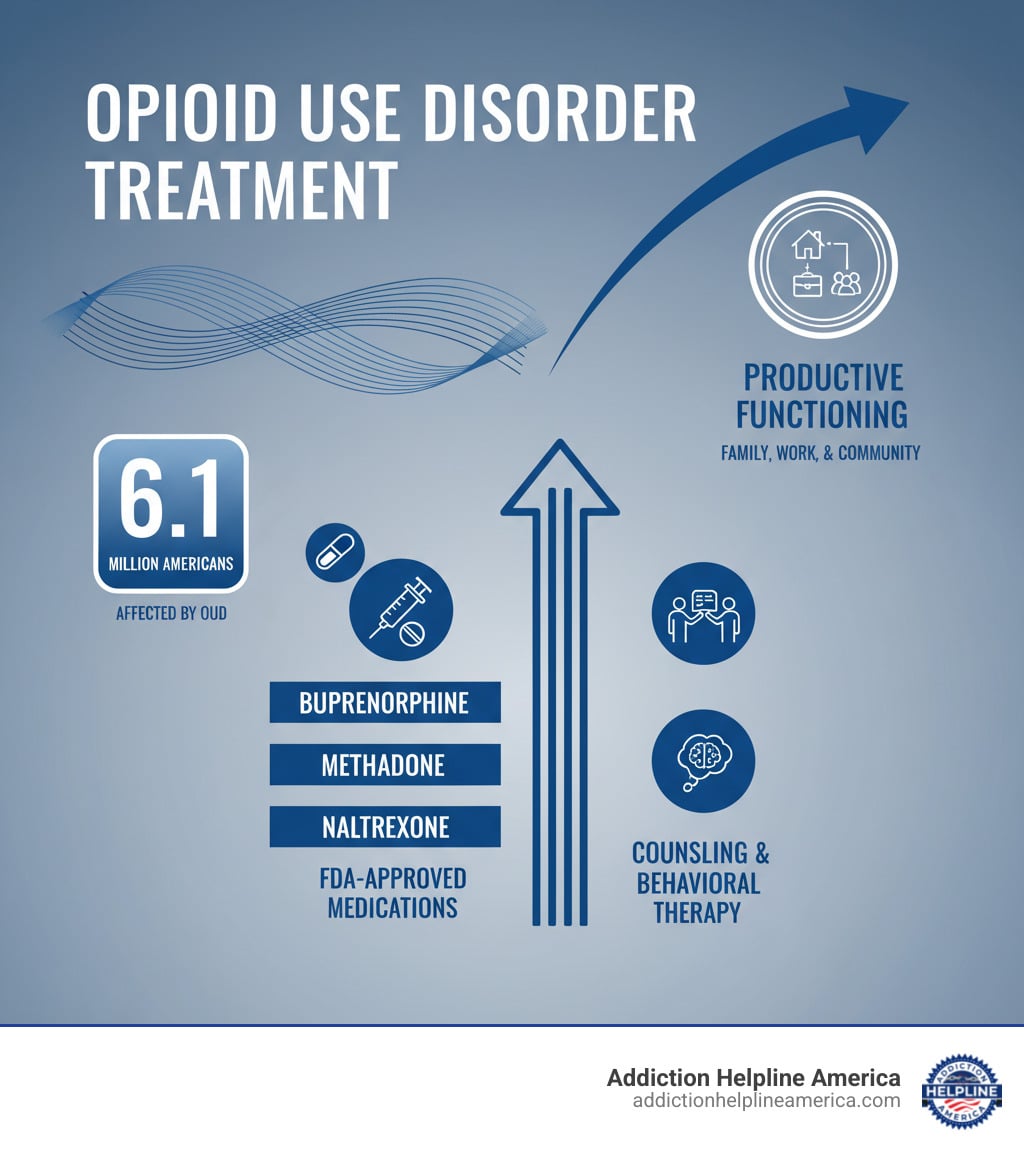 Infographic showing that over 6.1 million Americans have Opioid Use Disorder, with three FDA-approved medications (buprenorphine, methadone, naltrexone) forming the foundation of effective treatment, combined with counseling and behavioral therapy to achieve the goal of productive functioning in family, work, and community - Opioid Addiction Treatment infographic