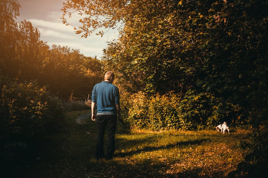 person hiking with a dog - Meth Addiction Treatment